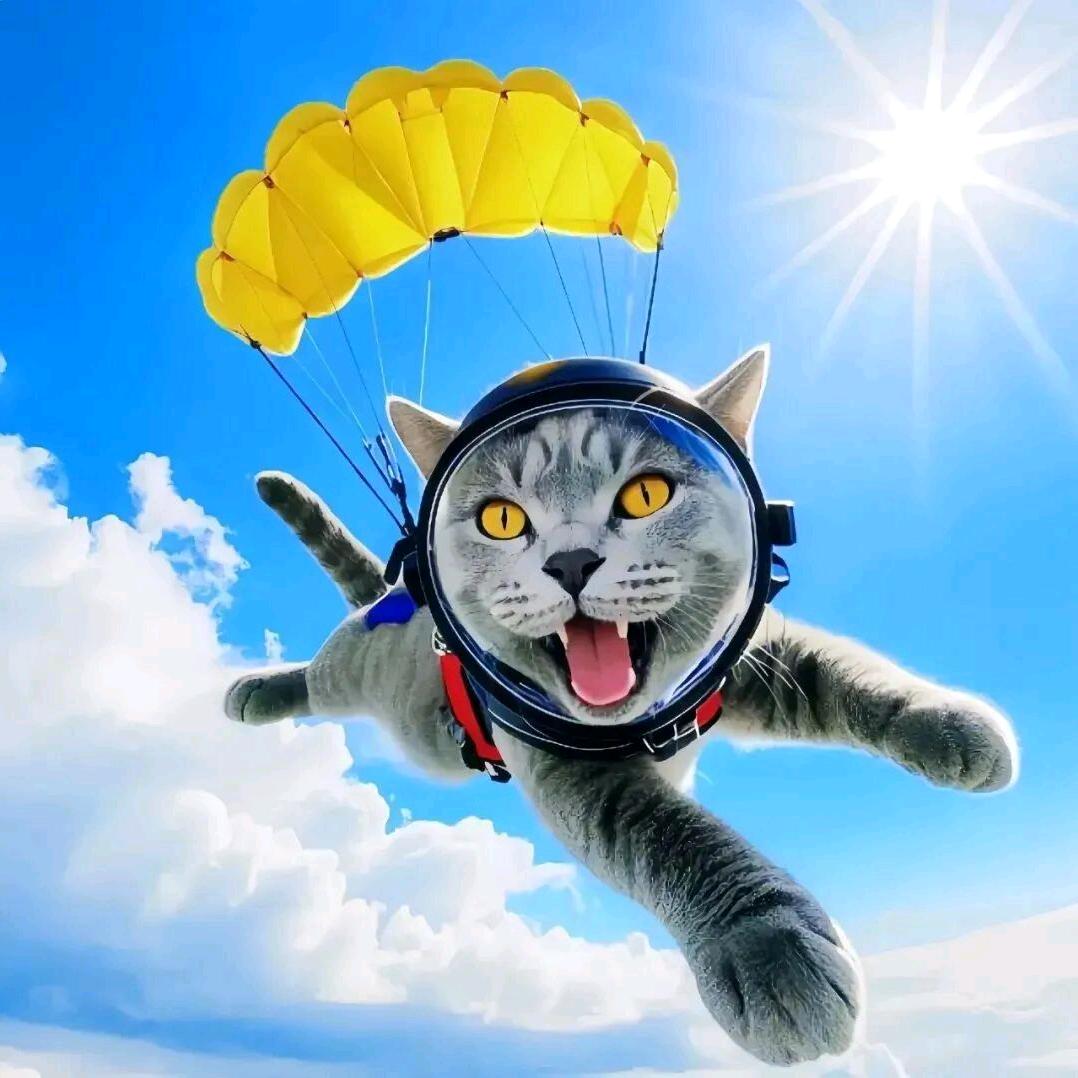 🍃建叶子🍀☘🌱🌿