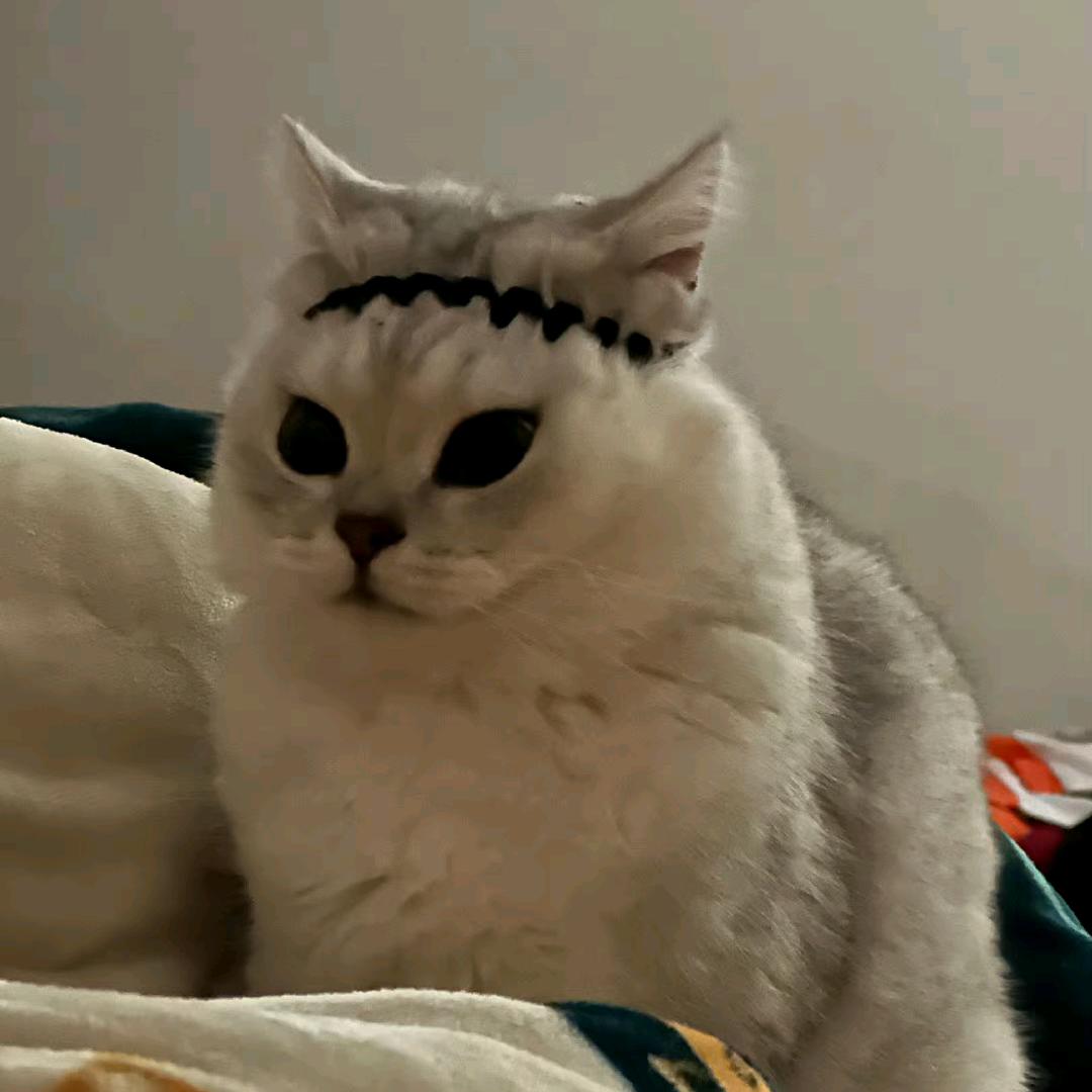 黑枸杞🐬⁹²⁰⁰