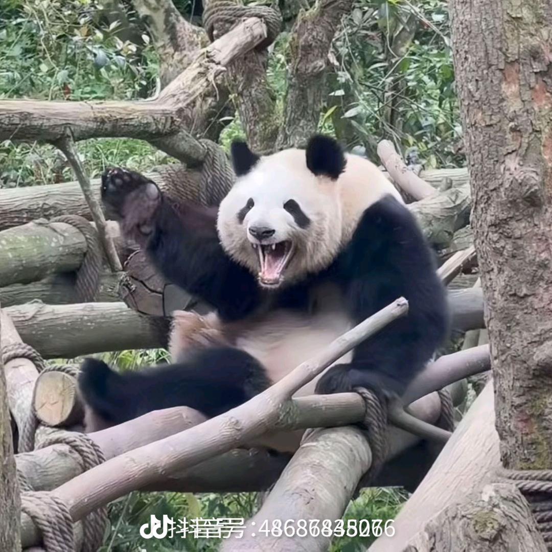 阿华田