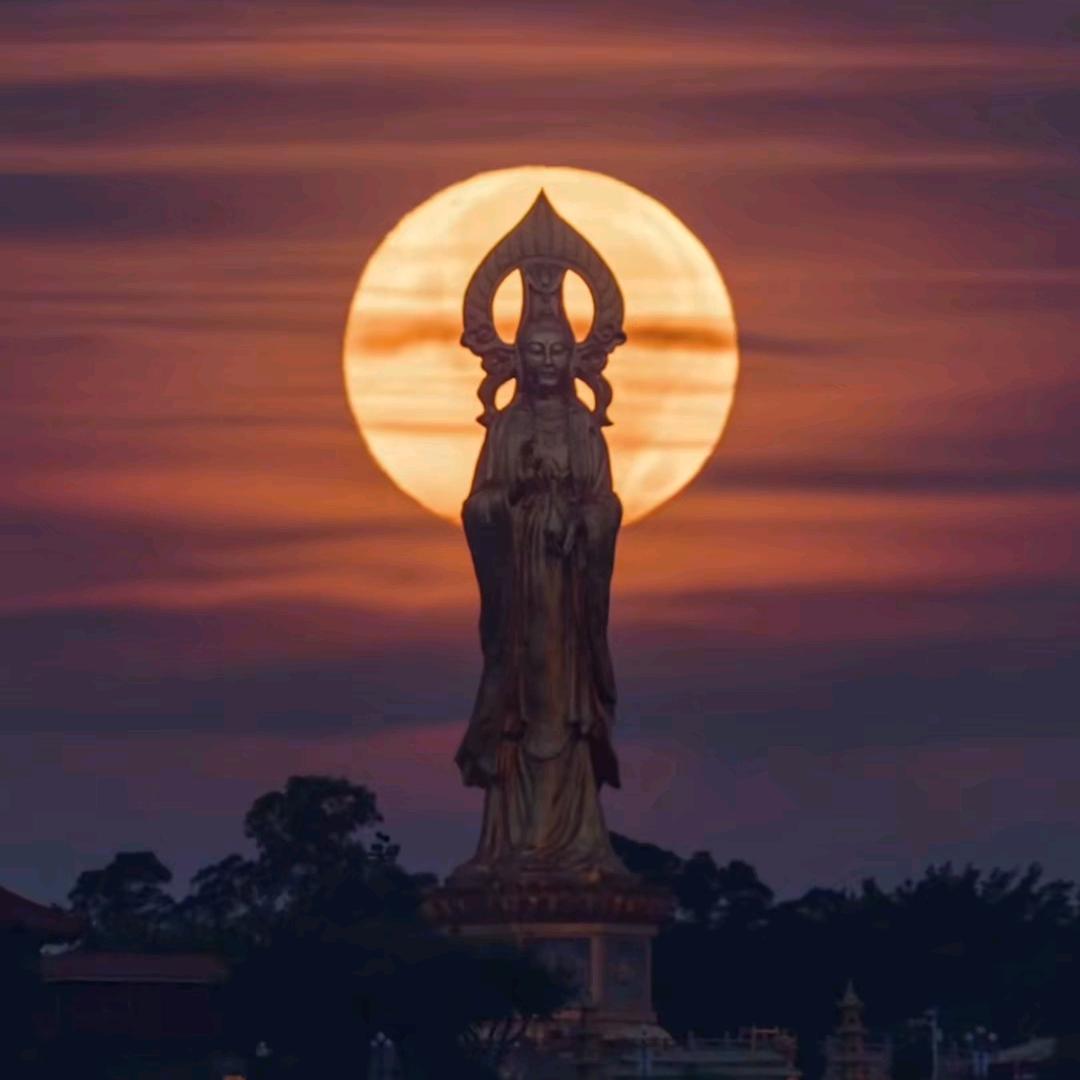 往后余生❤️满眼是你（单身奶爸）