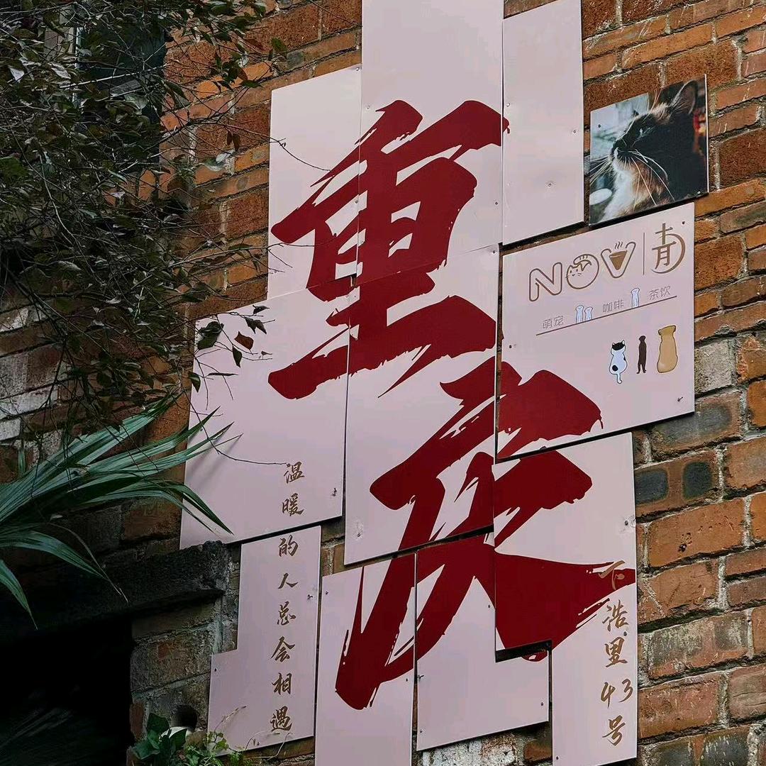 重庆导游珊珊