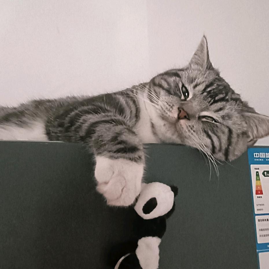 贺盛鸡精调味料源头厂家（晶）