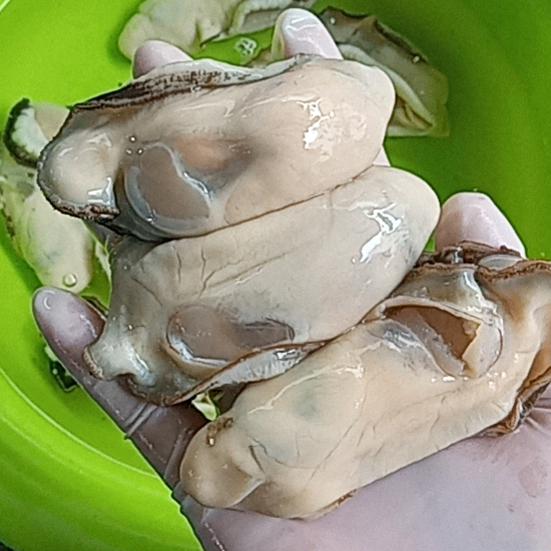 阿平（湛江生蚝）