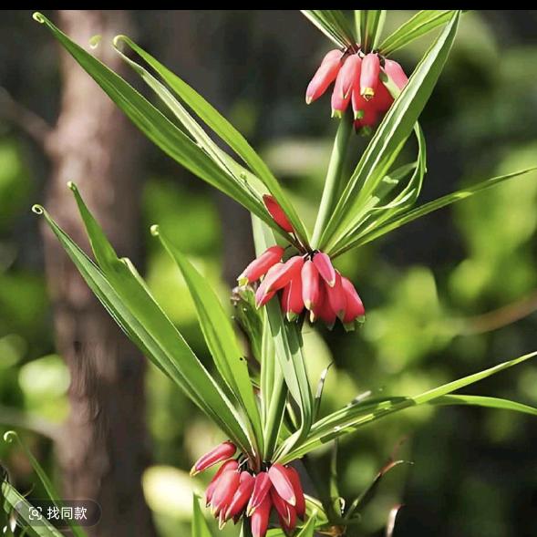如意居家庭农场
