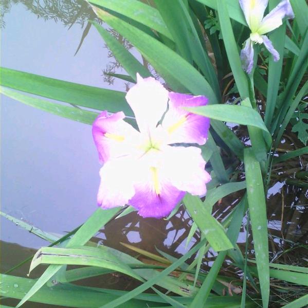 ꒰ঌ(˚无ᆺ名˚)໒꒱