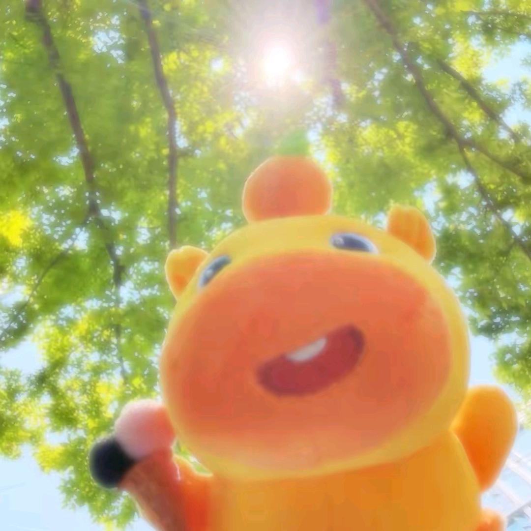 钧钧