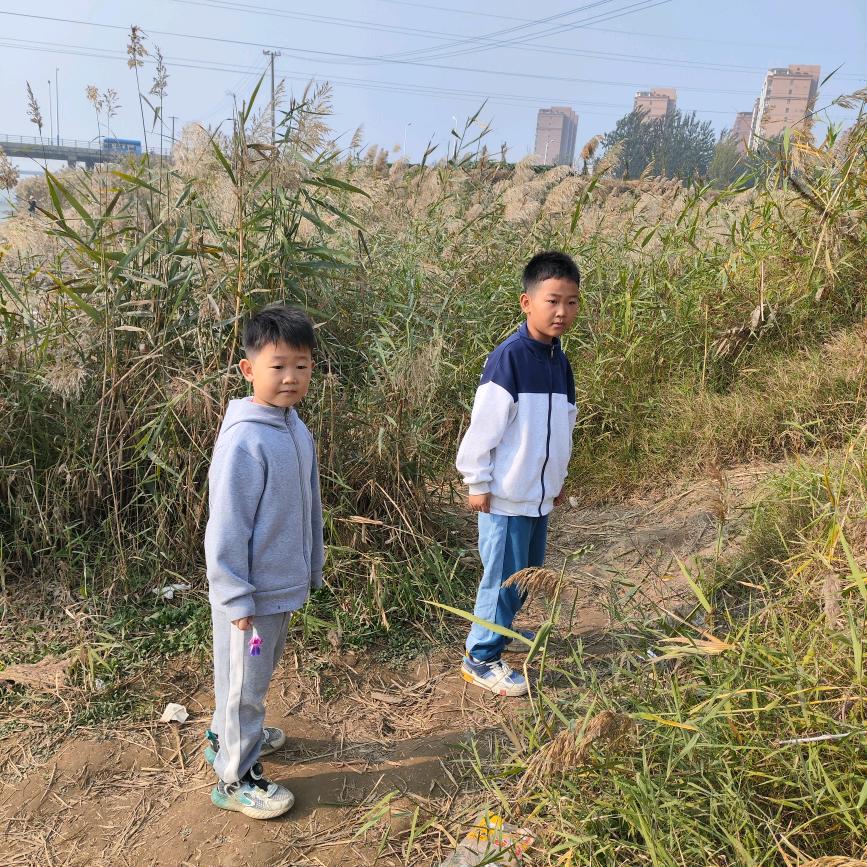 大墨子和大霖子