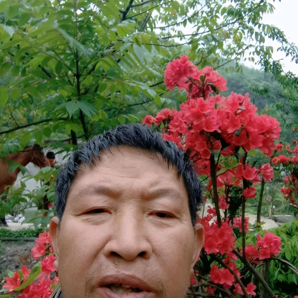 冯