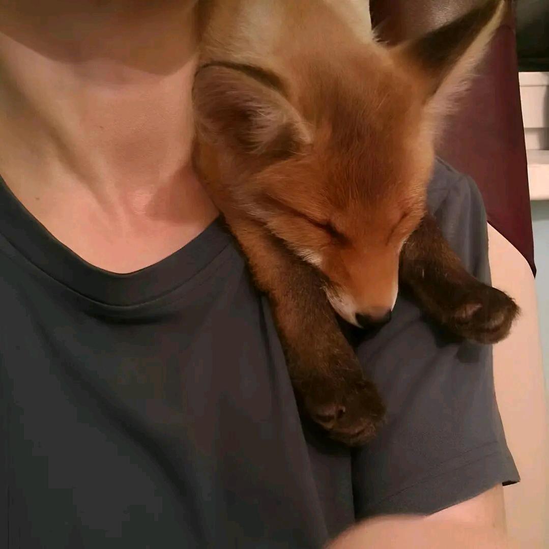 叙  旧