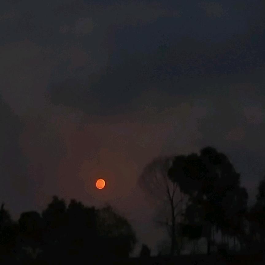 就是玩