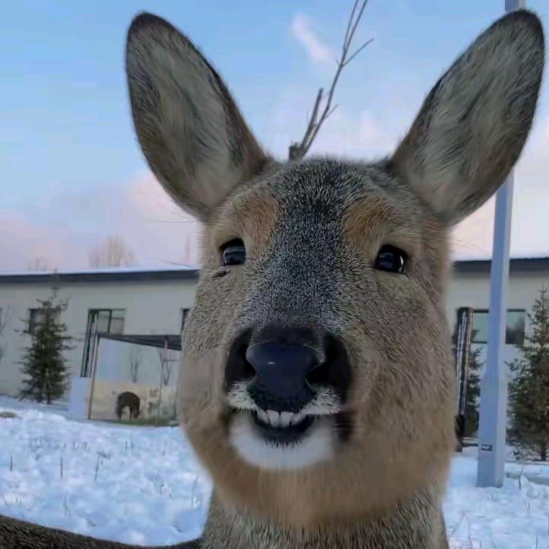 不知起什么名字