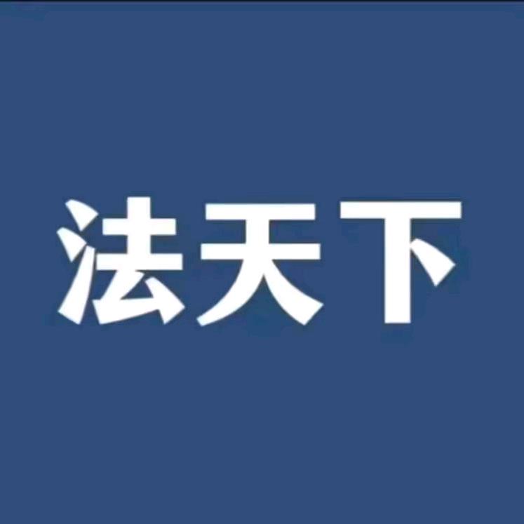 法天下