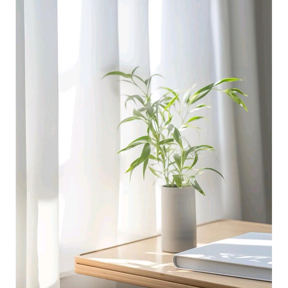 夏有植光