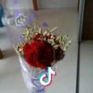 熏染的坚强◇◆゛