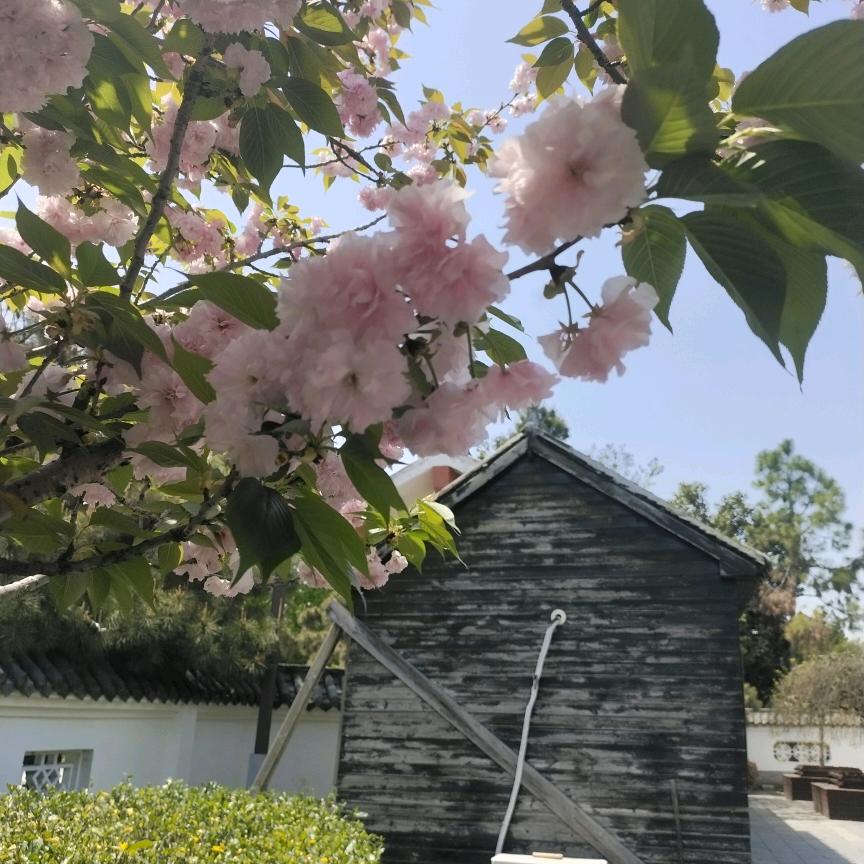 wna8r7ii萍水相逢