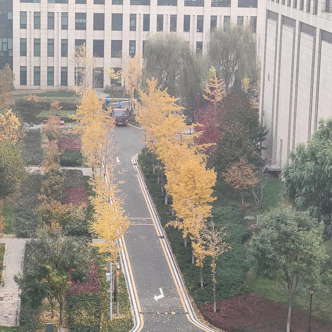 💗᭄杨5🕊꯭᭄꯭ꦿ22ོꦿ࿐