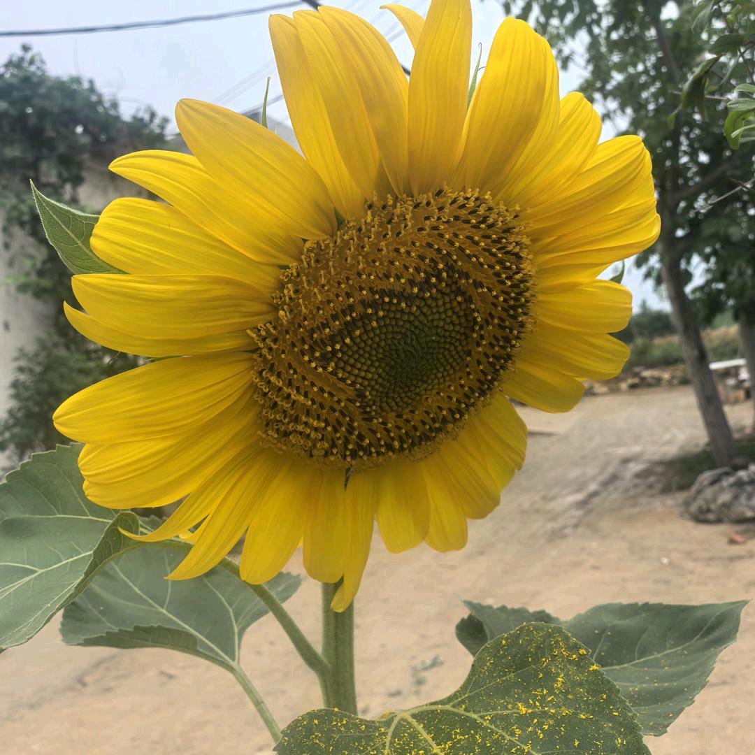 💞 快ᨶ႒ᩚ乐ᥫᩣ໌້ᮨ随心💞