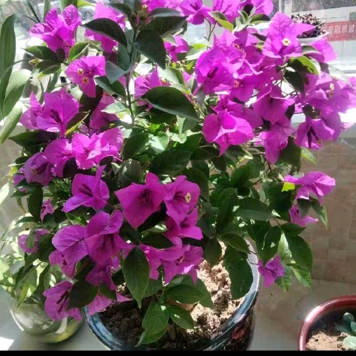 💞ঞ᭄余生໊爱໊自己ꦿഒᩚ࿐✨