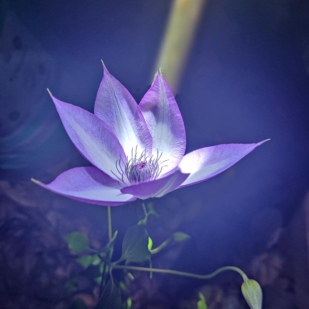 等风等雨等你（拒连赞私聊）