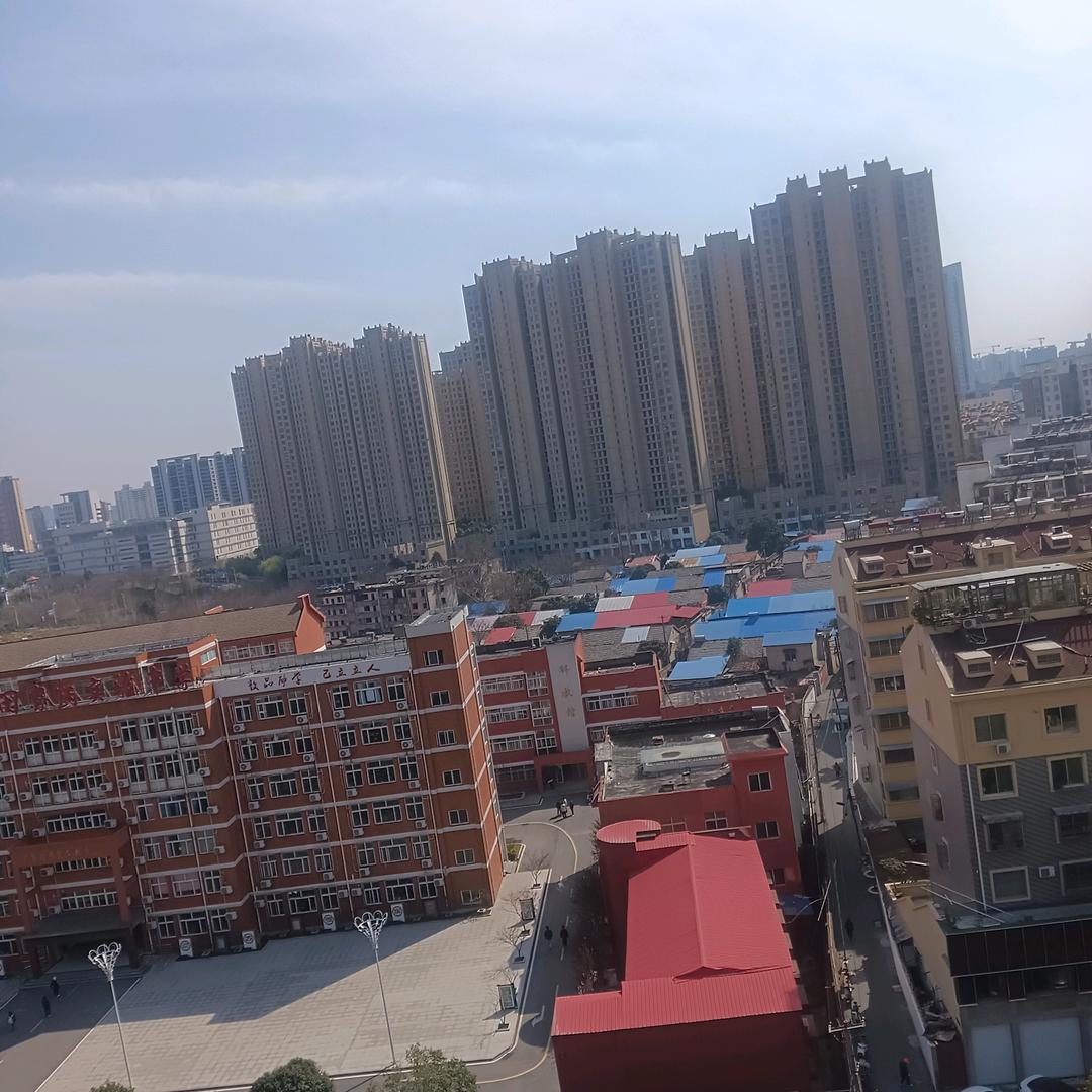 友善19356472895