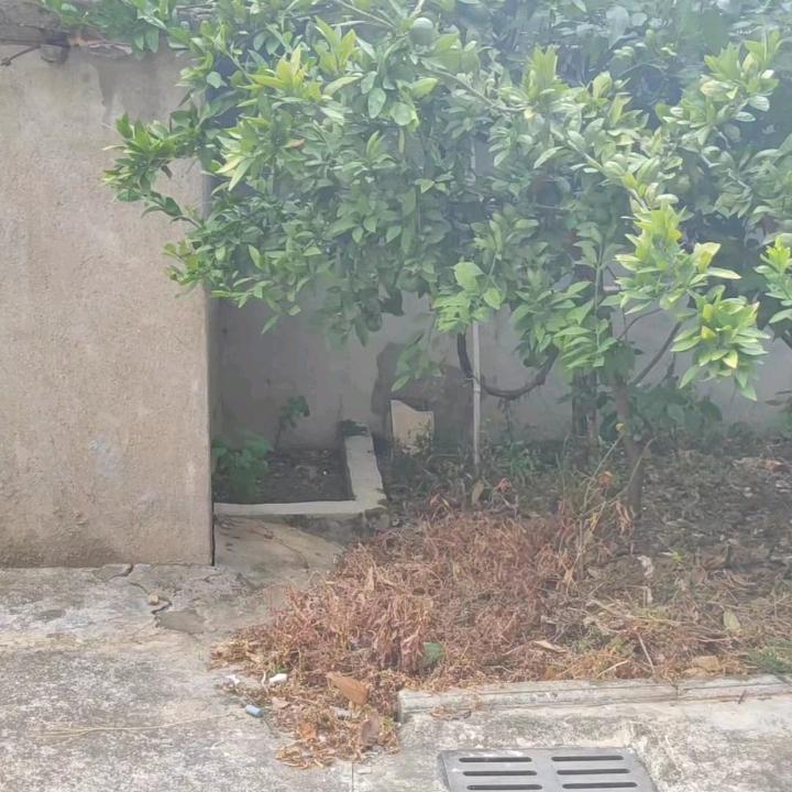 看清一切