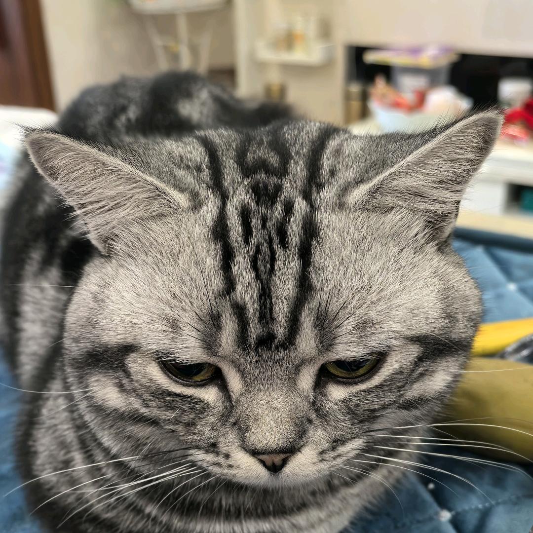 时间的朋友