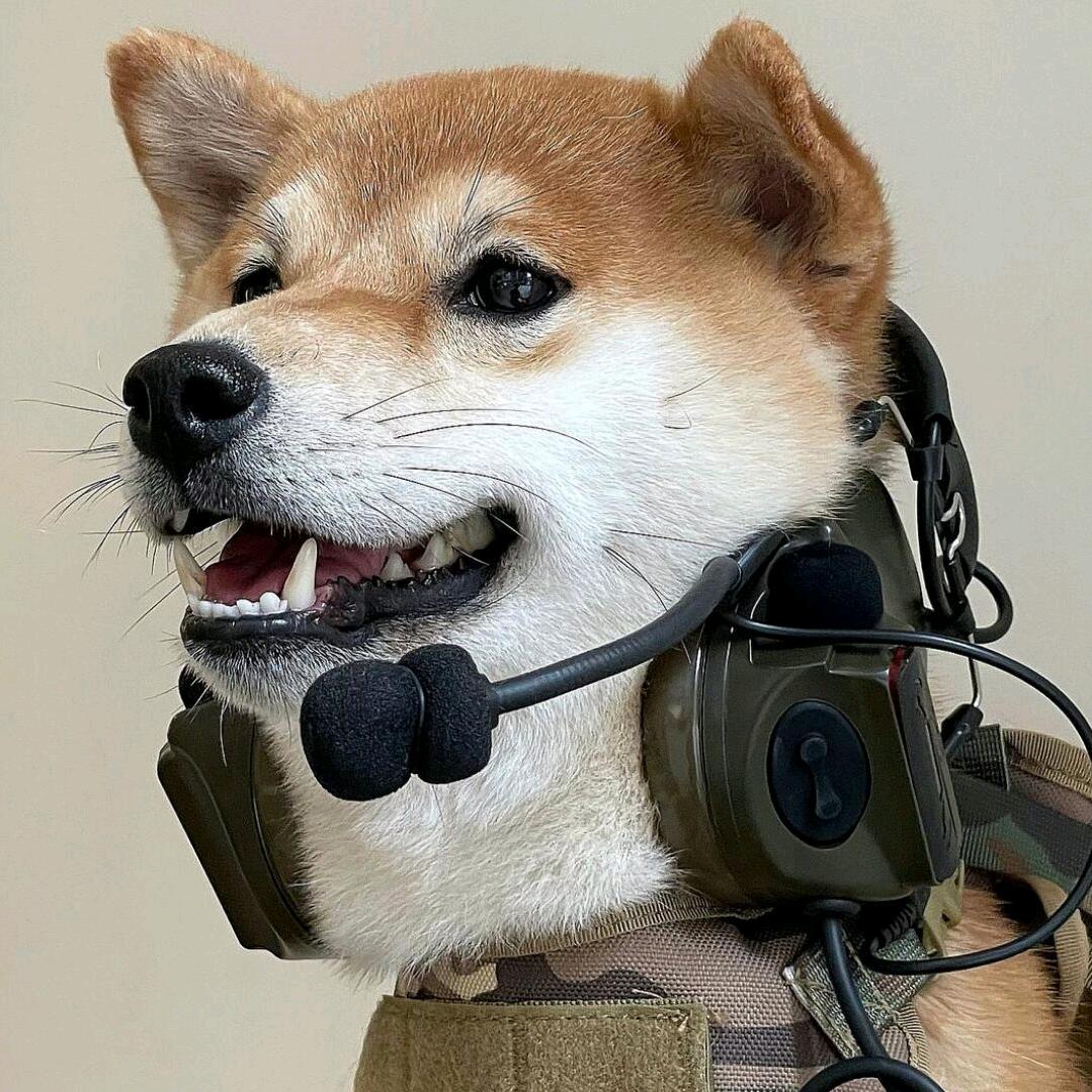 丶