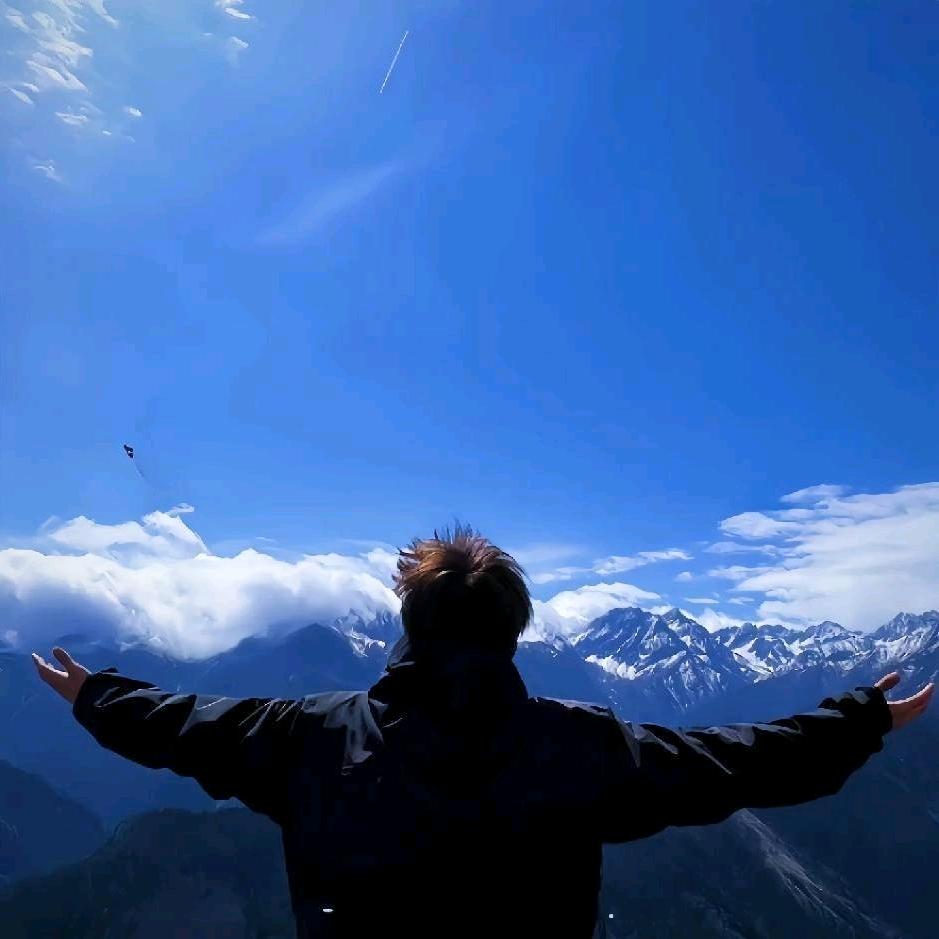 满山的猴子🐒我腚最红