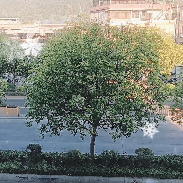 诚信