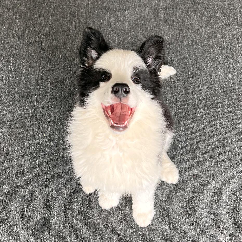 🌈赫兹是宇宙白垩纪泰坦龙徒手捏爆小行星