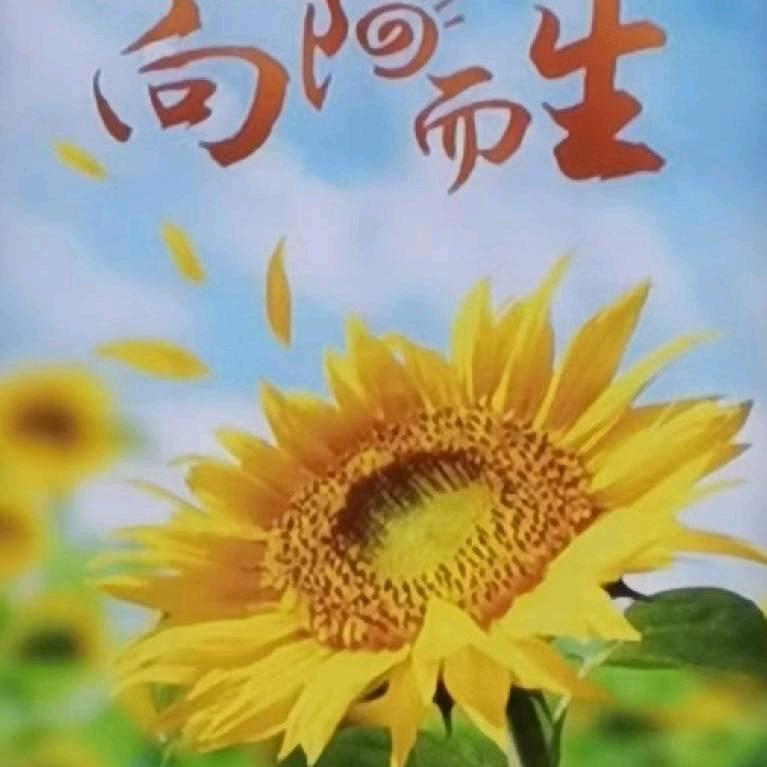 朝辉