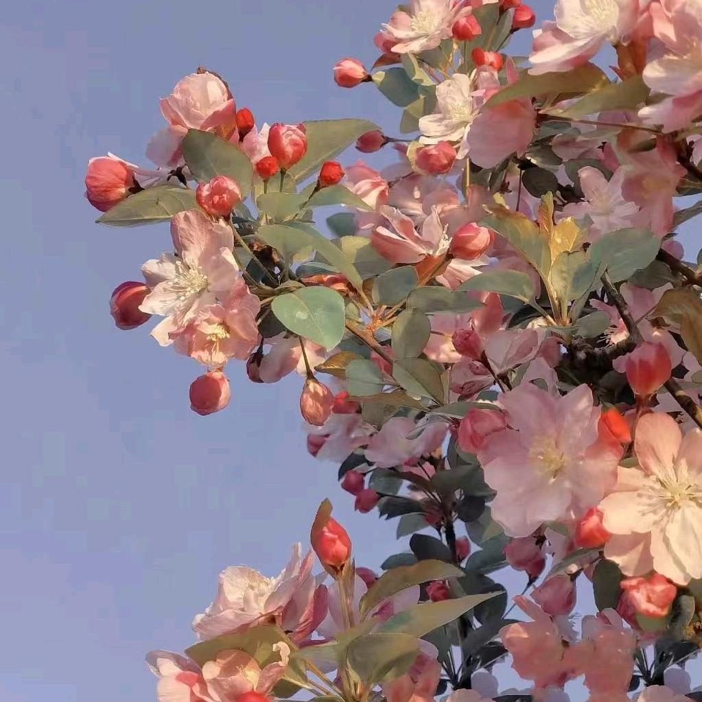 丁水悠悠