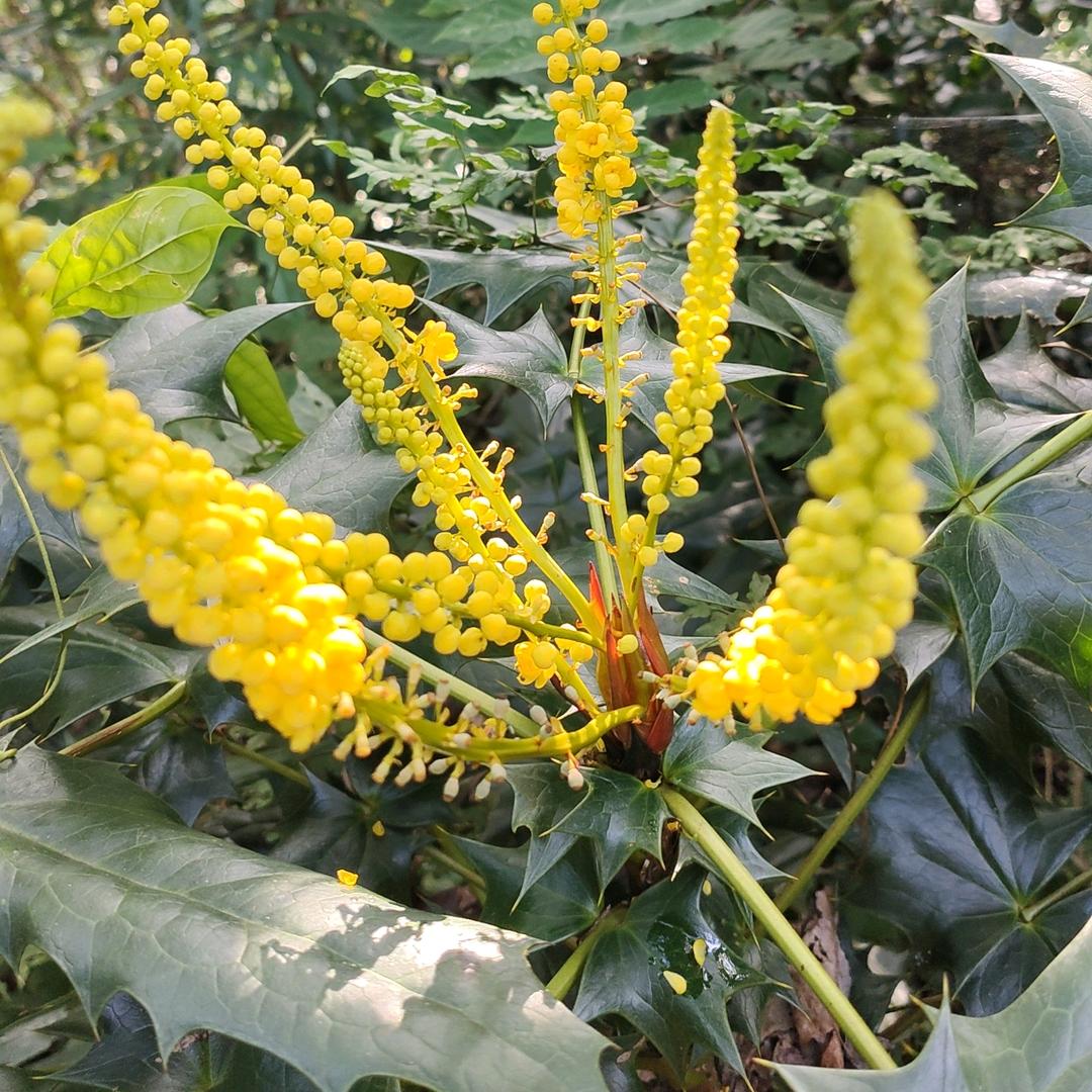 爱意随风散