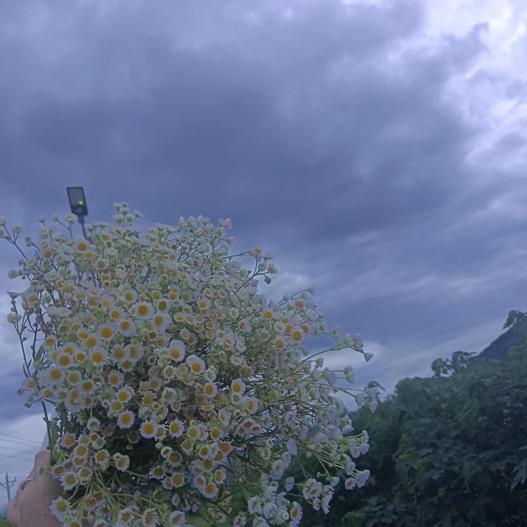小周周