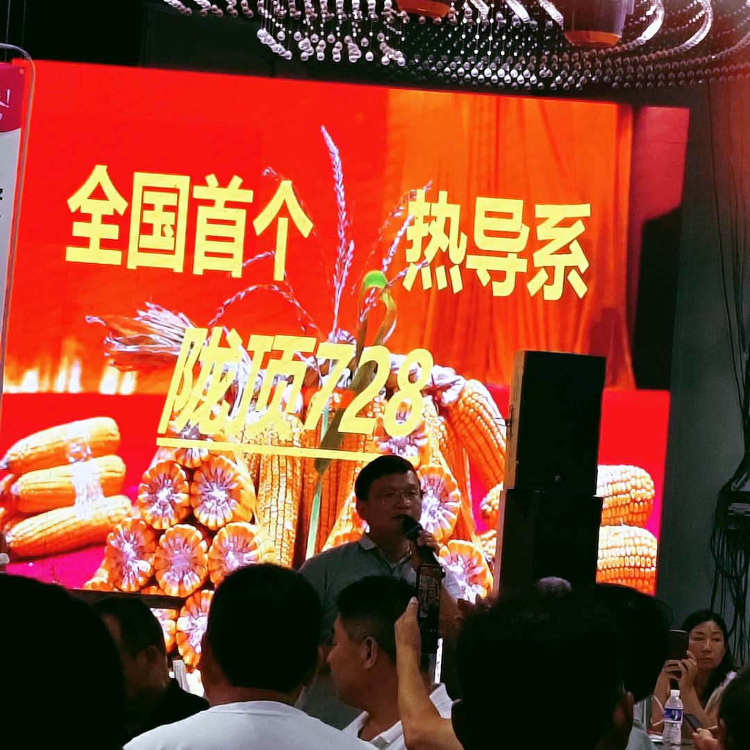 ❤️陇顶♛財來