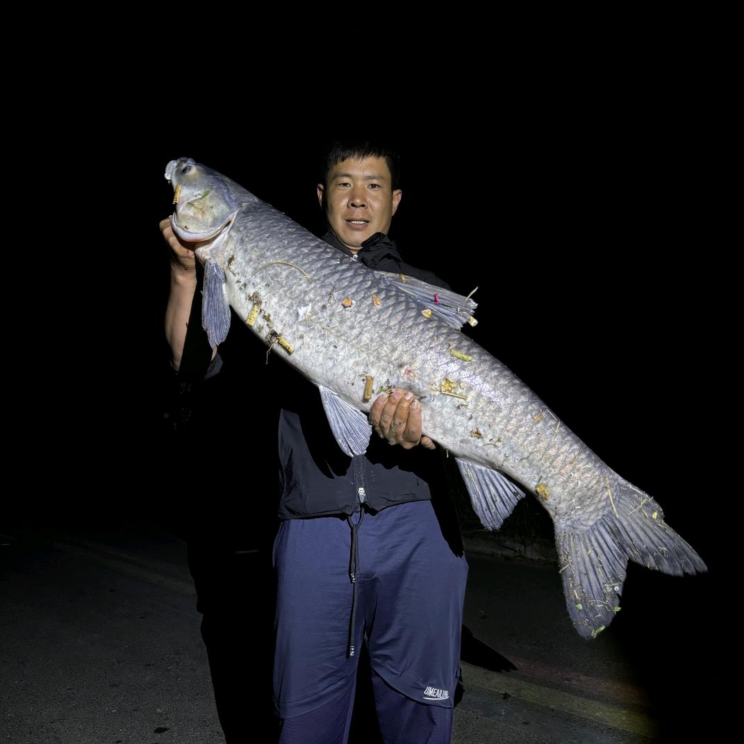 ℡文艺青年（户外🐟）