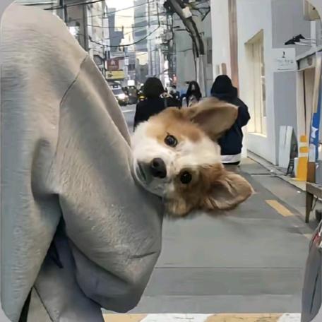 清酒与时光丶