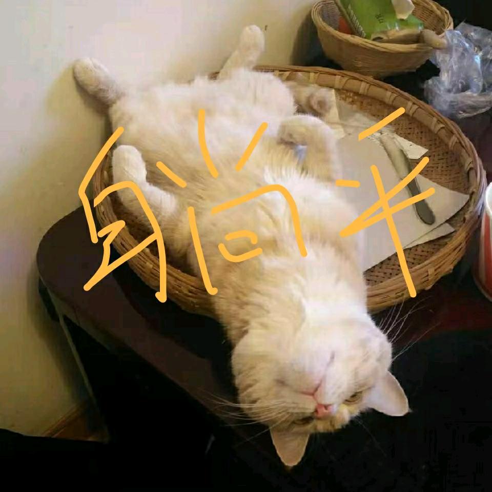 喵君