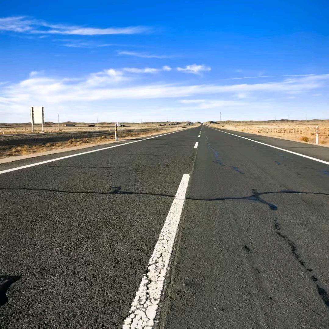 会开车的毛毛虫