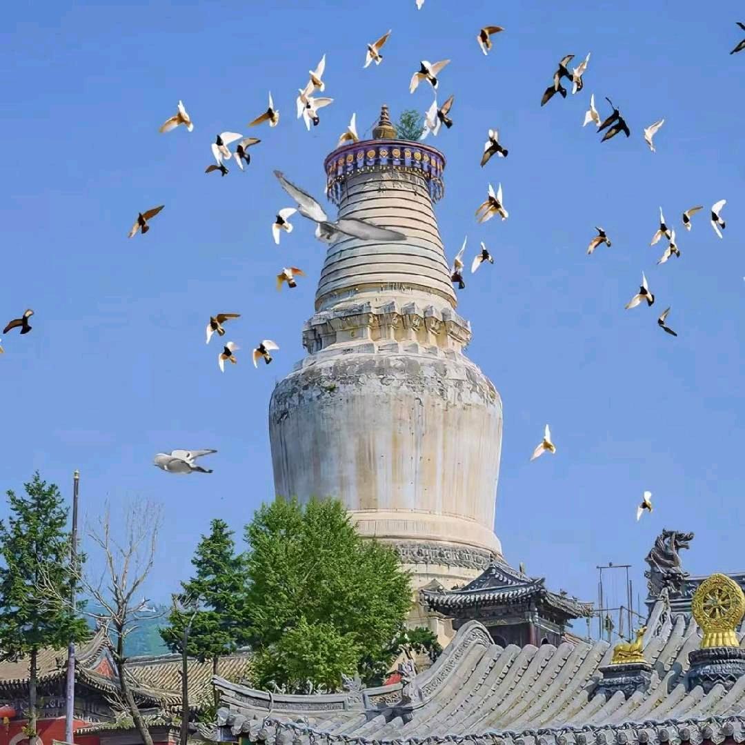 河南香橙国旅