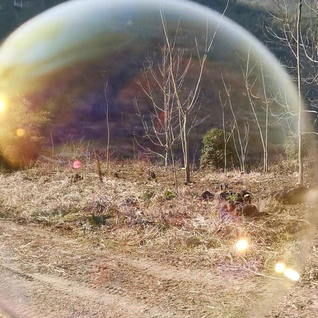 心思有点野