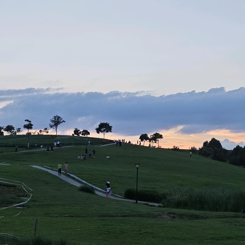 刘河