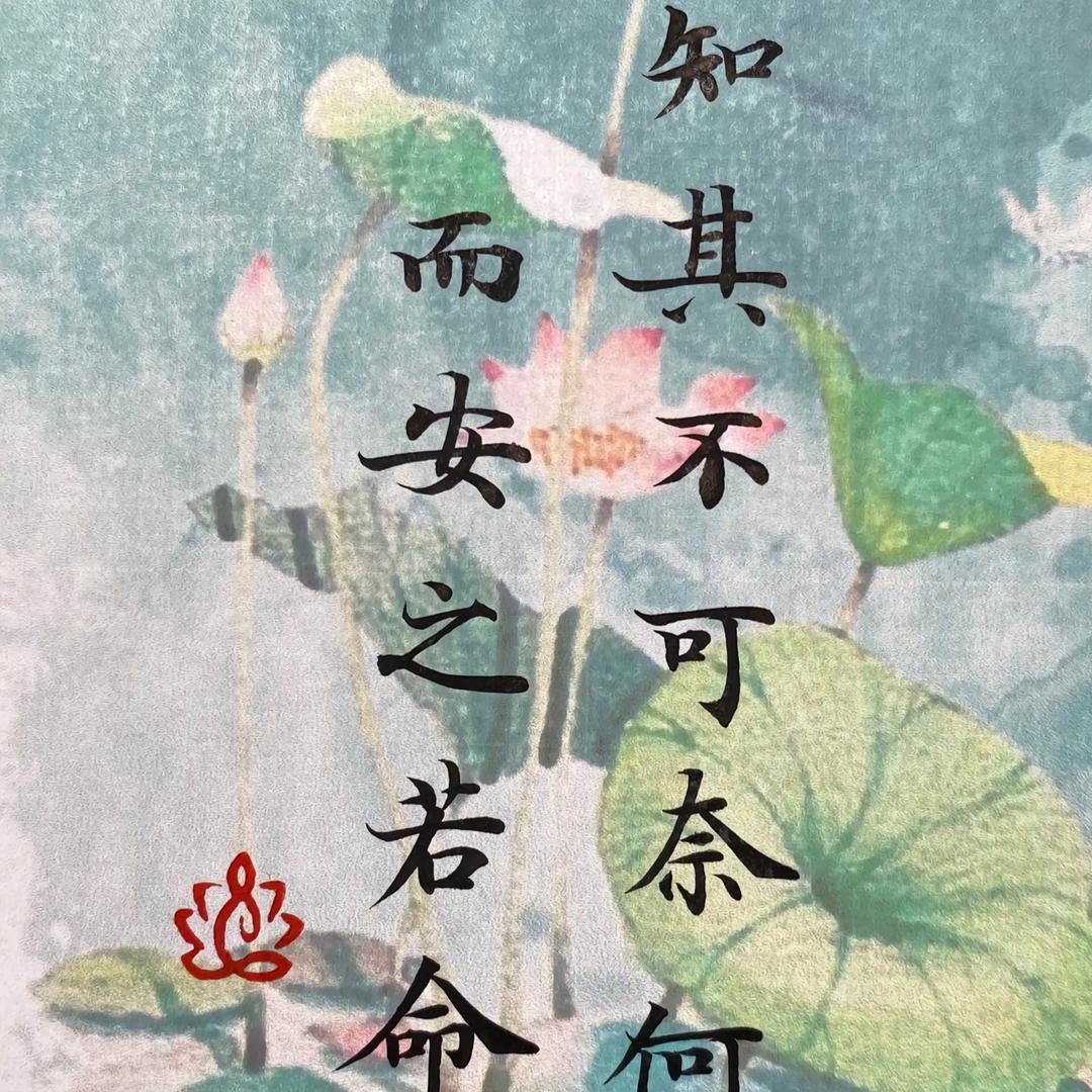工地搬砖小哥