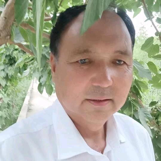 🌲Jahan kizar🌲