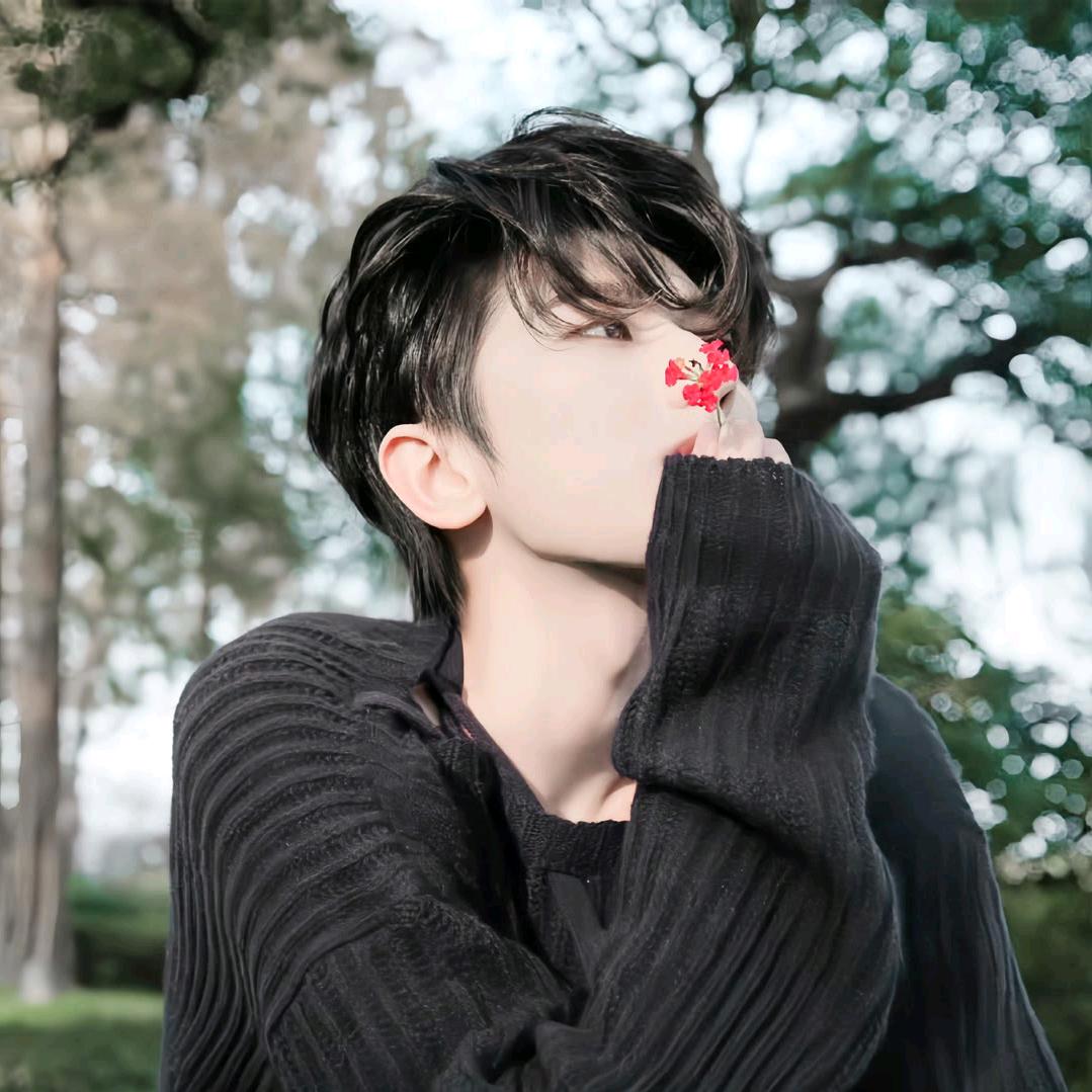 杨只小葵