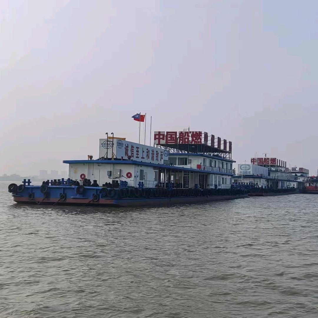 中国船燃王成炼