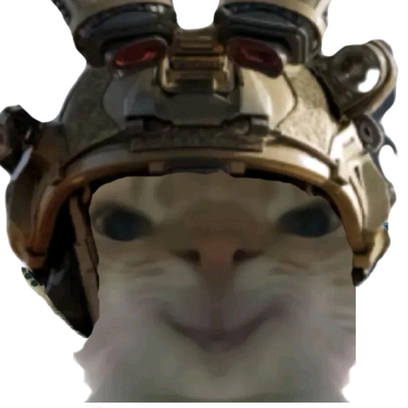 鼠鼠也有猛攻梦