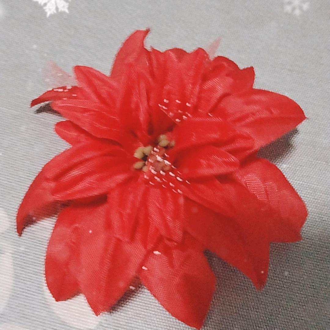 小凤