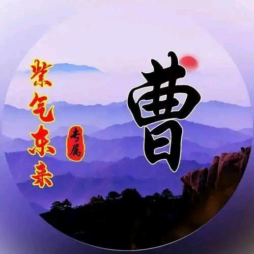 🌸手捧初梦🌸