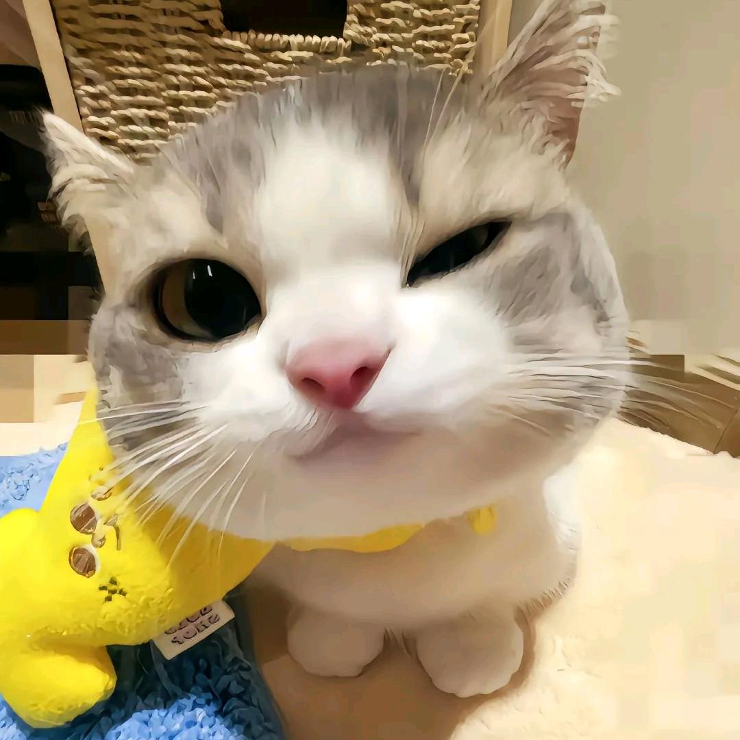 脉络出天际